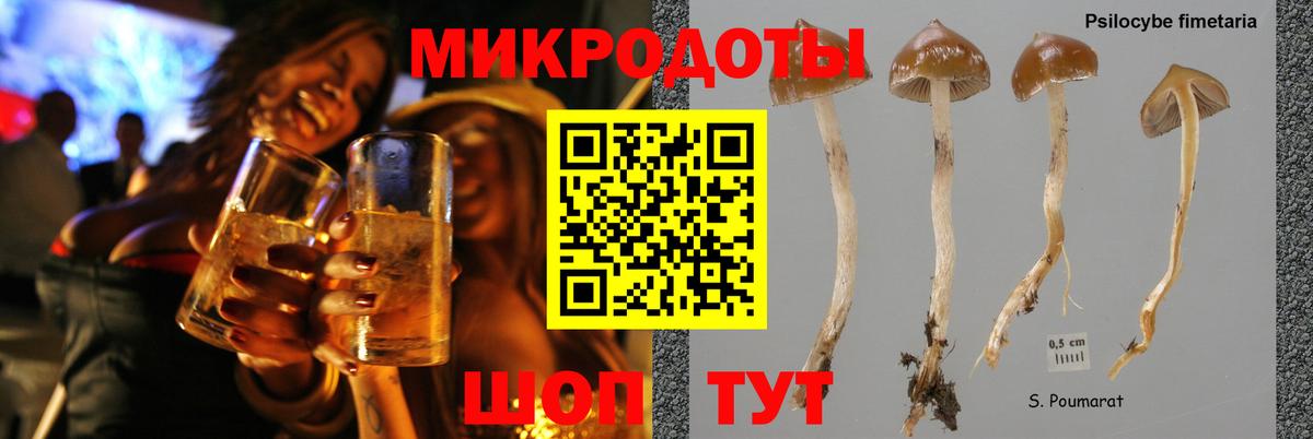 Галлюциногенные грибы MAGIC MUSHROOMS  Вход с VPN  Карачаевск  Галлюциногенные грибы мицелий 